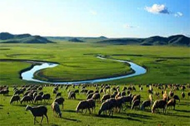 核心膜技術組合 引領工業水處理高品質時代